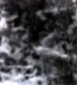 KINGMINE1.2 012#2.webp