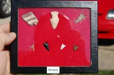 Arizona Artifacts (1).webp