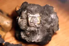 NH FINDS 04-12 002.webp