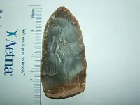 DSCF1585.webp