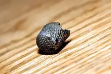 NH FINDS 04-12 012.webp