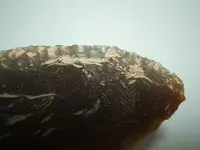 DSCF1589.webp