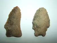 DSCF1590.webp