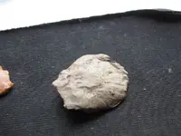 flint 005.webp