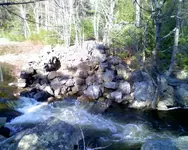 NH FINDS 04-14.1.webp