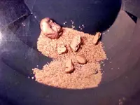 Good day panning.webp
