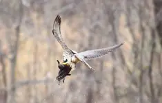 220146_205804782784094_194825790548660_629328_4959451_o.webp