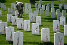 Arlington.webp
