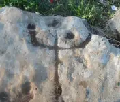 S50004270.webp