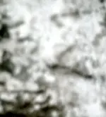 KINGMINE1.2 012.webp