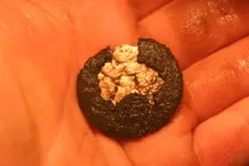 NH FINDS 05-17.webp