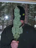 GOOD, BIG, BUD!!!!!!!.webp