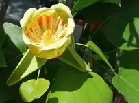 DSC04824.webp