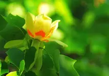DSC04927.webp