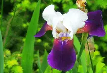 DSC04897.webp