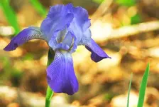 DSC04901.webp