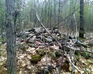 NH FINDS 04-24 004.webp