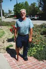 pegleg1.webp