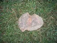 049 - Copy.webp