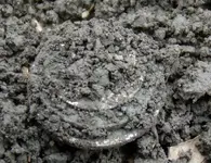 4-15-11 1.webp