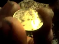 1943nickle.webp