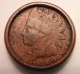 spooned traderoftreasures.webp