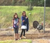 girls&turk.webp