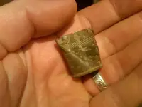 Peters No 16 Shell.webp