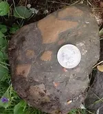 DSCF0001.webp