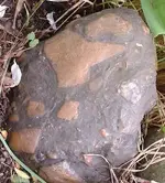 DSCF0001.webp