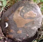 DSCF0002.webp