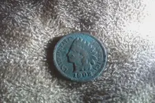 IMAG0143.webp