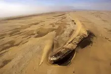 most-amazing-photos-ever13.webp