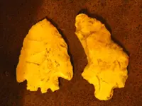 heads 006.webp