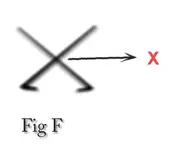 Figure _F.webp