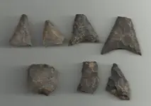 ArrowHeads.webp