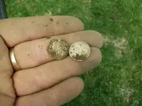 EASTER GREEN HUNT SEATED DIMES 003 [1600x1200].webp