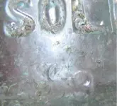 bottles5.webp