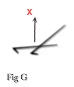 Figure _G.webp