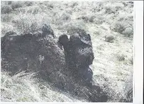 Scan0002.webp