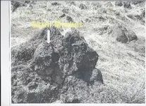 Scan0003.webp