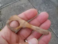 P1010369.webp