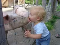 tongue_overload.webp