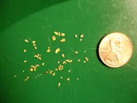 fri gold.webp