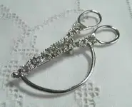 ScissorsEyeglassHolster2.webp