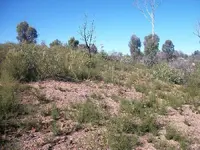 100_0764.webp