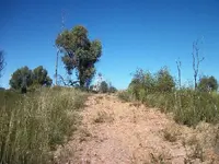 100_0765.webp
