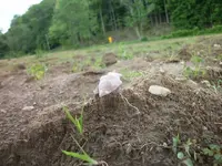 101_1453.webp
