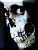 avatar_3554.gif
