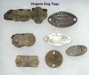 dogtags.webp